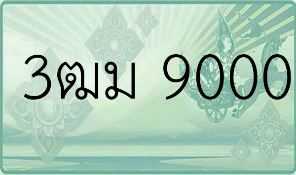 3ฒม 9000
